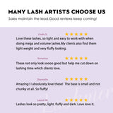 Lashmer Premade Fans Starter Bundle — 7x Mixed Trays - Lashmer