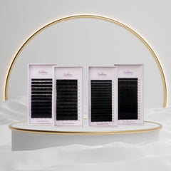 Lashmer Classic Lashes bundle - Lashmer