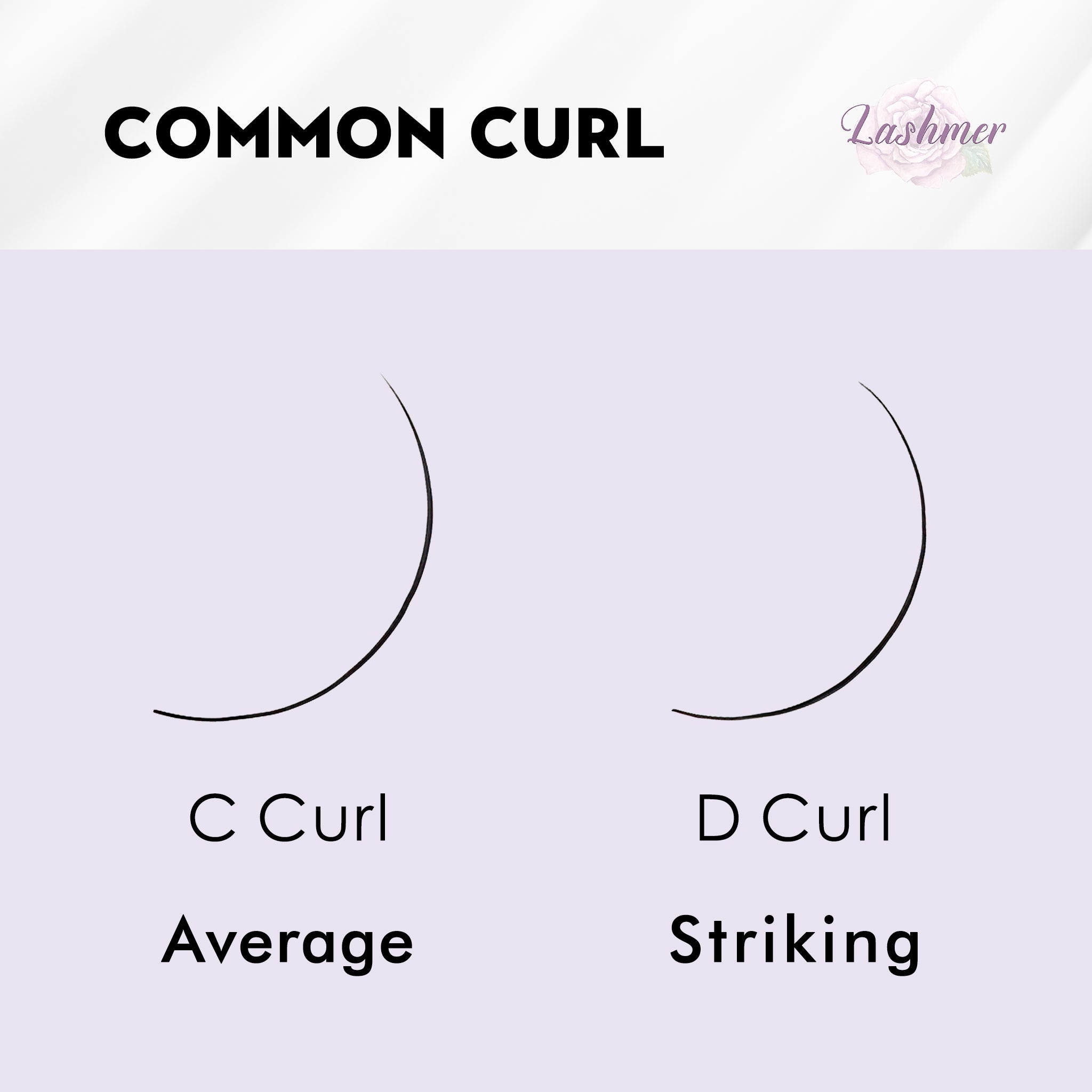 C, D Curl--New 10D Pointy System Narrow Fans Promade Fans - 16 Lines - 384 Fans - Lashmer
