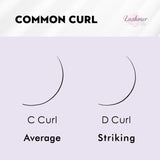 Lashmer Premade Fans Starter Bundle — 7x Mixed Trays - Lashmer