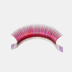 Color Volume lashes Sampler -- PP Colour (5 lines) - Lashmer