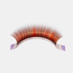 Color Volume lashes Sampler -- RD Colour (5 lines) - Lashmer