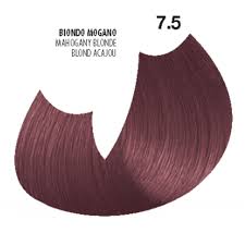 RG HAIR COLOUR EXTRAS