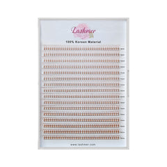 Lashmer 3D Brown Short Stem Promade Fans (640 Fans) - Lashmer