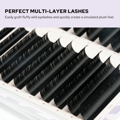 Lashmer Comic Camellia Lashes Mix Tray (20 Lines) - Lashmer