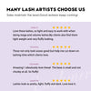 B Curl--XL tray-Long Stem Premade Fans | Lashmer |3D, 5D, 6D - 8mm-15mm Mix, Ultra Black - Lashmer