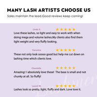 New Promade Fans Pointy System Narrow Fans | Lashmer | C, D Curl--6D - 16 Lines - 320 Fans - Lashmer