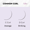 XL tray-Short Stem Premade Fans | Lashmer | C, D Curl--3D - 16 Lines - 640 Fans, Ultra Black - Lashmer
