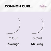 XL tray-Long Stem Premade Fans | Lashmer | C, D Curl--6D (thickness 0.07) - 16 Lines - 320 Fans, Ultra Black - Lashmer