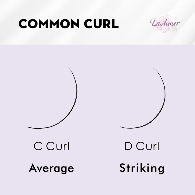 XL tray-Long Stem Premade Fans | Lashmer | C, D Curl--6D (thickness 0.07) - 16 Lines - 320 Fans, Ultra Black - Lashmer