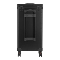 Black flight case with wheels and handle on a white background