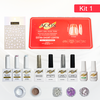 ACOS Soft Gel Press On Nail Kit (Gel color +chrome powder+sticker) - Lashmer