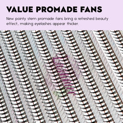 Lashmer 12D Ultra Dark Pointy Narrow Fans (900 Fans)