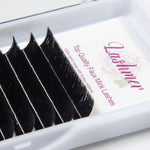 Fast&Easy Fans(0.05/0.07) D Curl - Lashmer Nails&Eyelashes Supplier