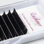 Fast&Easy Fans(0.05/0.07) C Curl - Lashmer Nails&Eyelashes Supplier