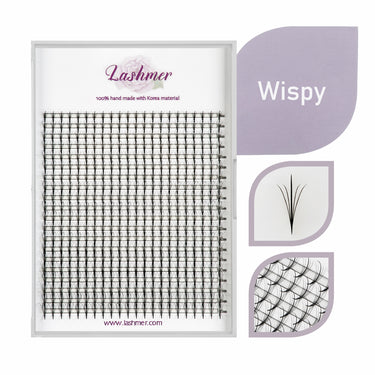 5D Wispy Promade Fans  | Lashmer | C, D Curl-20 Lines - 440 Fans - Lashmer Nails&Eyelashes Supplier