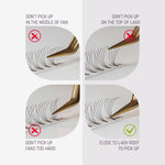 8D  Point Base Short Stem Premade Fans - Lashmer Nails&Eyelashes Supplier