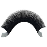 Fast&Easy Fans(0.05/0.07) D+ Curl - Lashmer Nails&Eyelashes Supplier